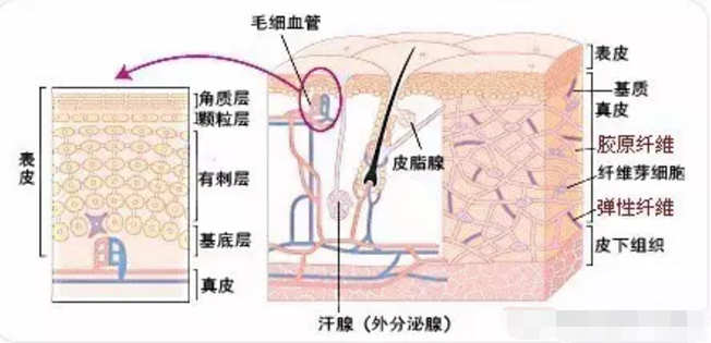 敷料