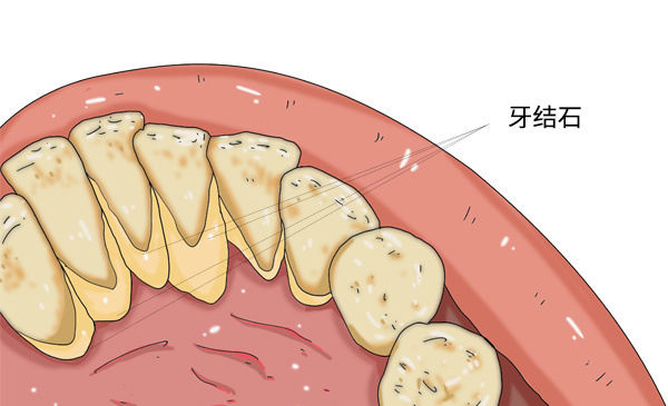 微信圖片_20211013152311.png